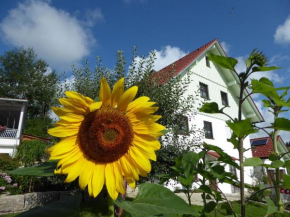 erholungsraum Karsee - Ferienwohnung